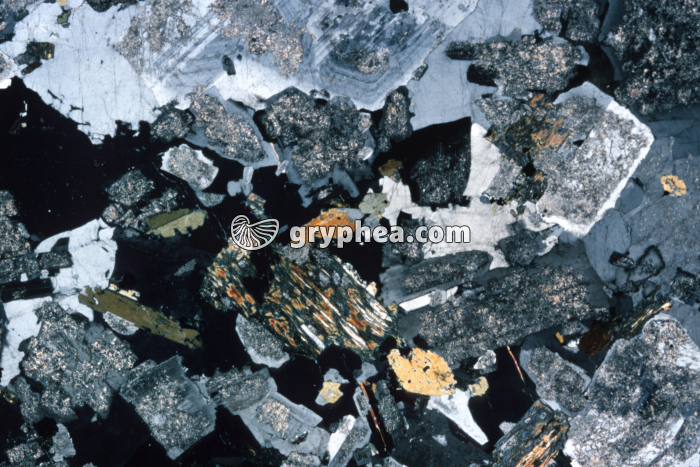 Granite (granodiorite) du Hohwald LPA x3 - gryphea.com